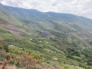Peru Juihuay