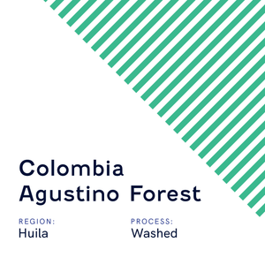 Colombia Agustino Forest AAA