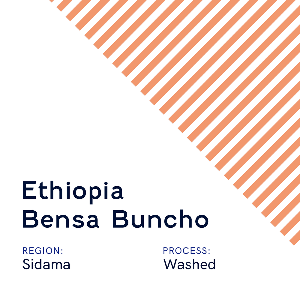 Ethiopia Bensa Buncho