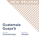 Guatemala Guaya'b