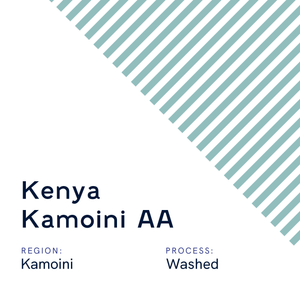 Kenya Kamoini AA