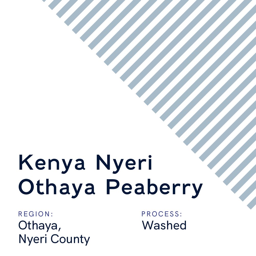 Kenya Nyeri Othaya Peaberry