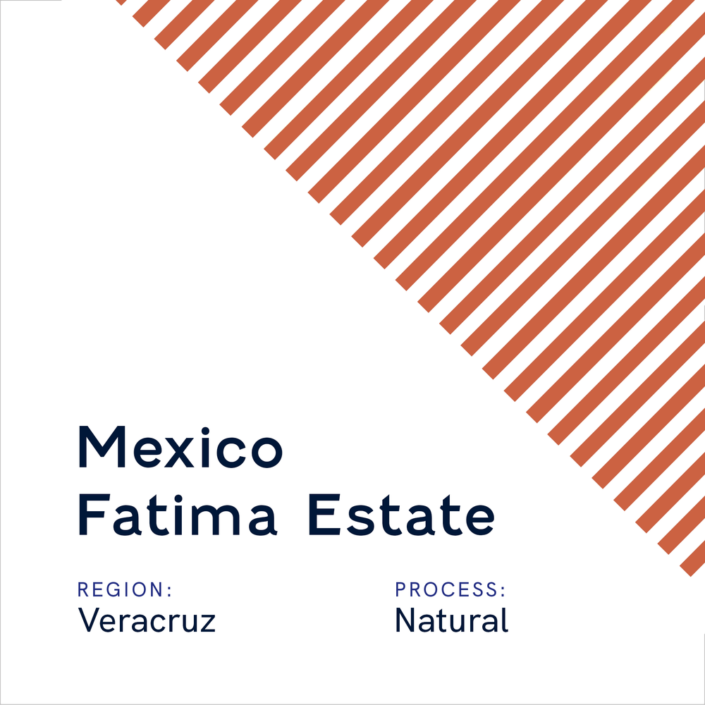 Mexico Fatima Estate Natural