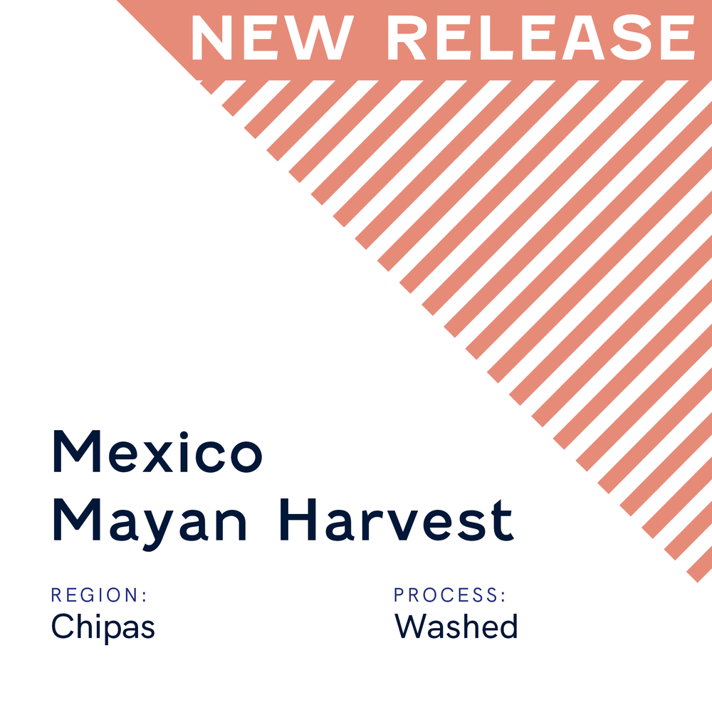 Mexico Mayan Harvest