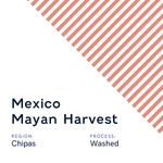 Mexico Mayan Harvest