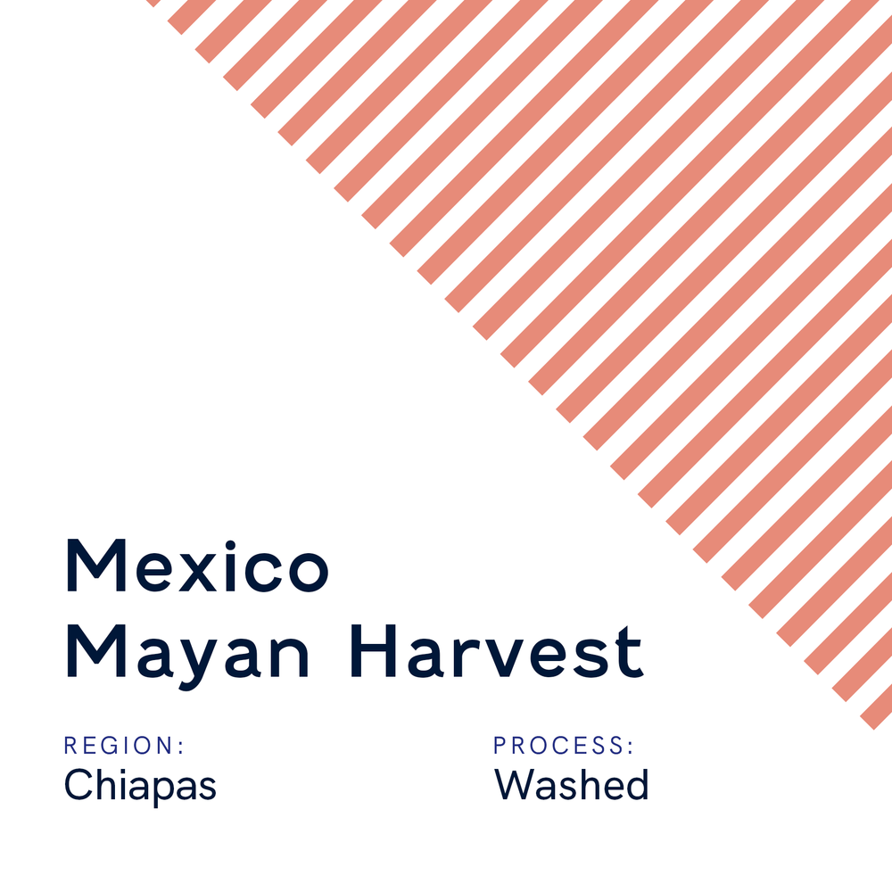 Mexico Mayan Harvest