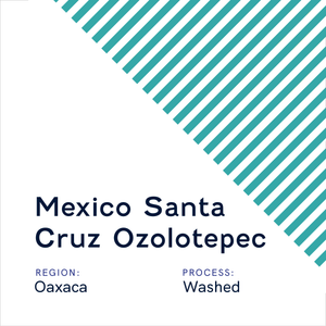 Mexico Santa Cruz Ozolotepec