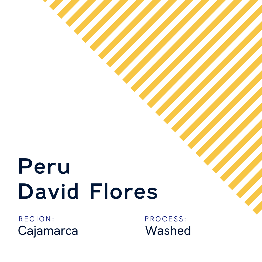 Peru David Flores