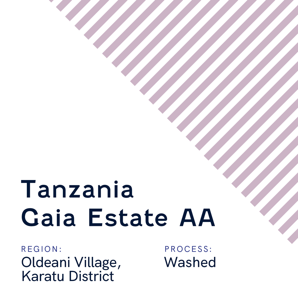 Tanzania Gaia Estate AA