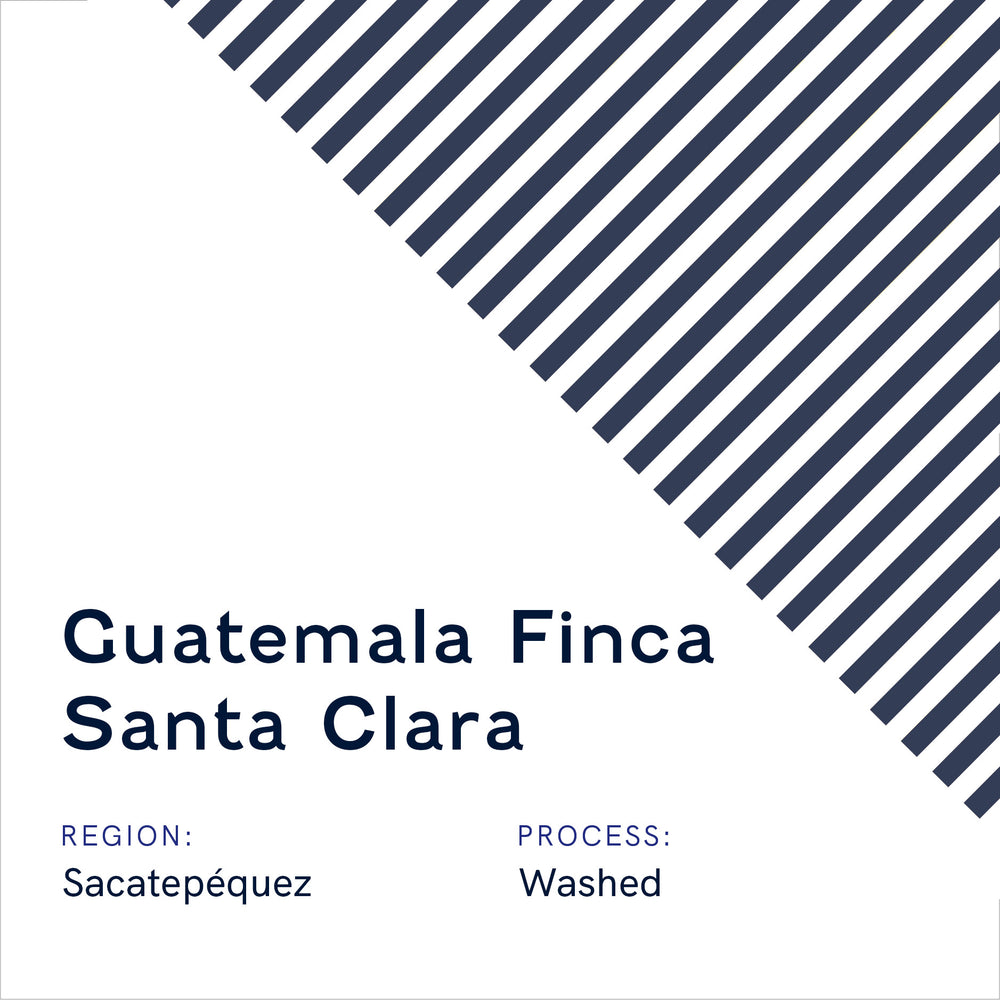 Guatemala Finca Santa Clara