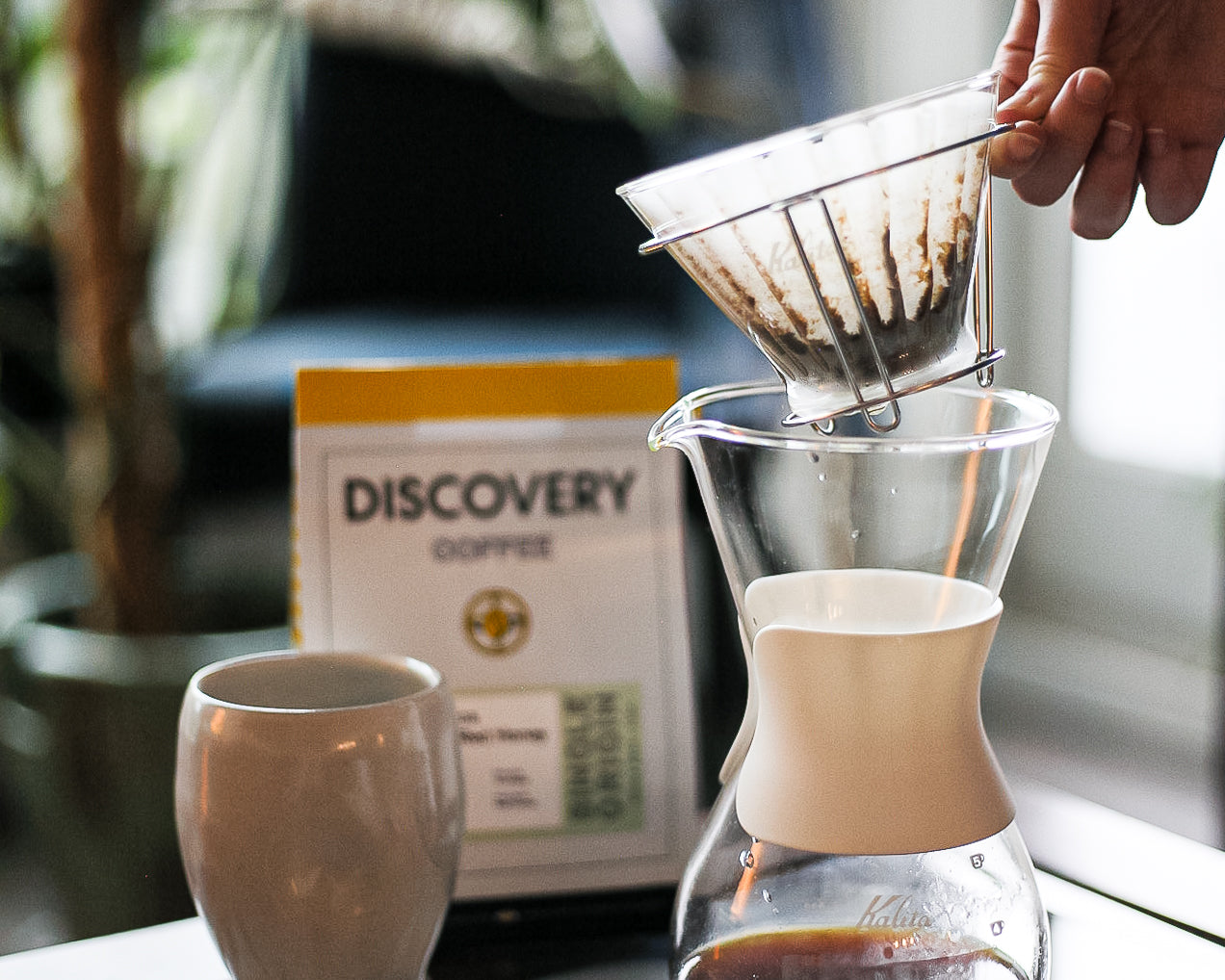 Discovery Coffee • Victoria, BC